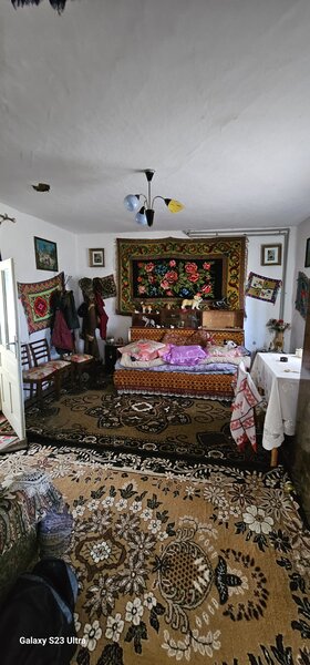 Neagra Sarului, Suceava